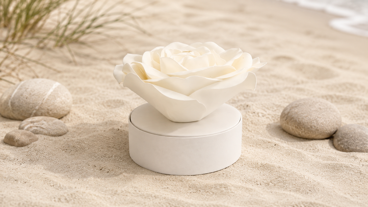 Biodegradable cremation urn in natural sand tones, photographed for the collection banner