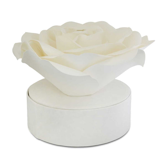 Wide rounded biodegradable paper urn, 13 inches across and 12 inches tall, matte natural surface
