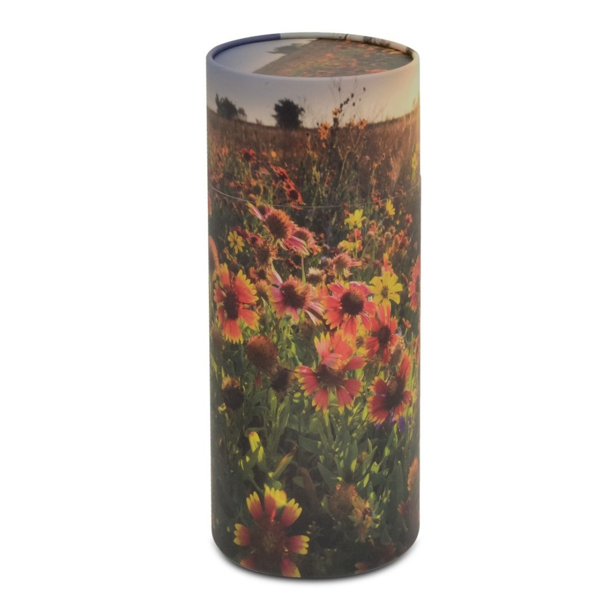 Cylindrical scattering urn covered in soft-edged wildflowers in mixed colours