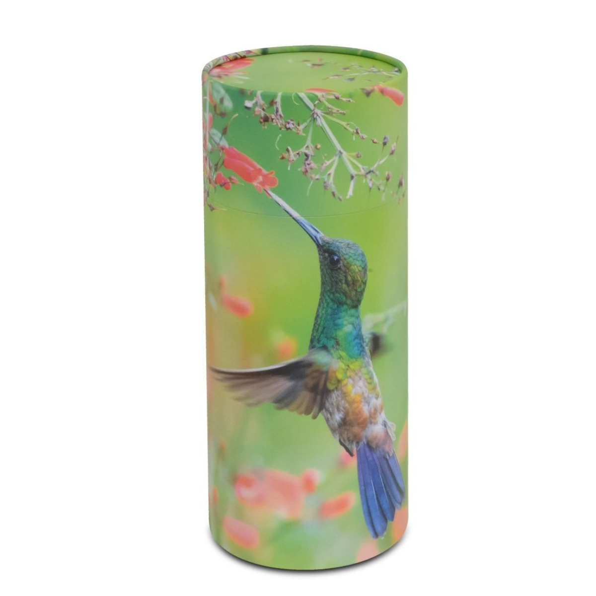 Cylindrical scattering urn printed with a single hummingbird in flight