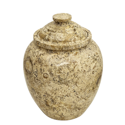 Tall fossil stone cremation urn with visible shell and sediment markings