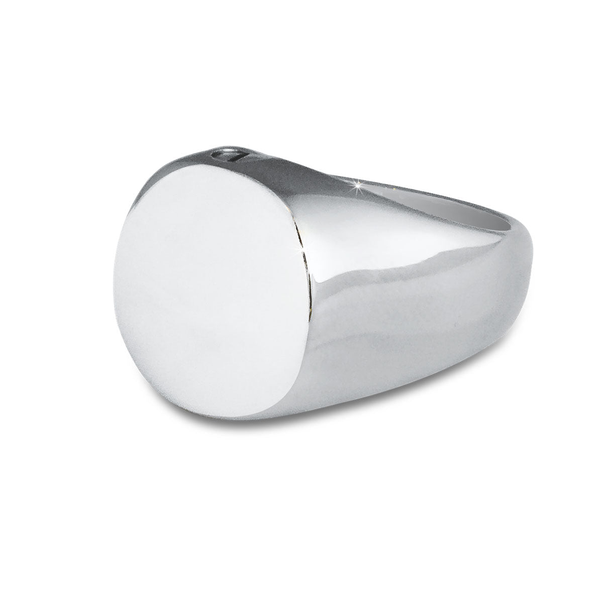 Mens Cremation Steel Ring Keepsake Size - 12